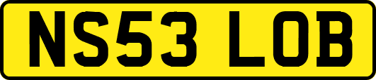 NS53LOB