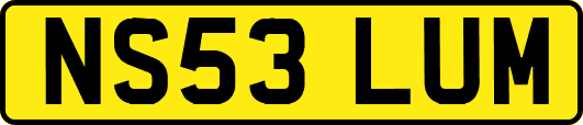 NS53LUM