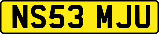 NS53MJU