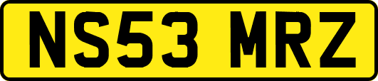 NS53MRZ