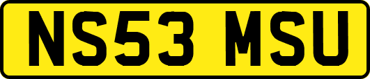 NS53MSU