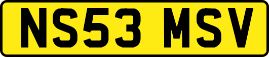 NS53MSV