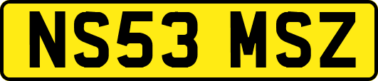 NS53MSZ