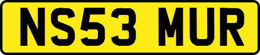 NS53MUR