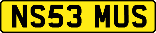 NS53MUS