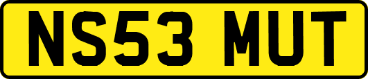 NS53MUT