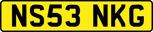 NS53NKG