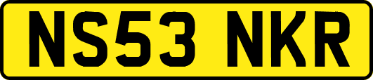 NS53NKR