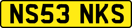 NS53NKS
