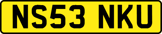 NS53NKU