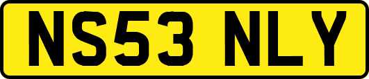 NS53NLY