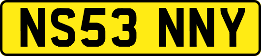 NS53NNY