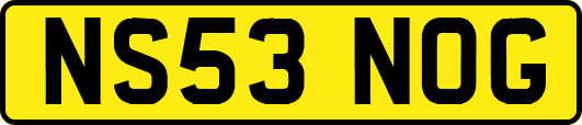 NS53NOG