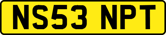 NS53NPT