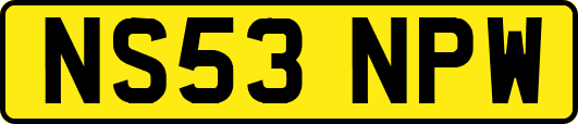 NS53NPW