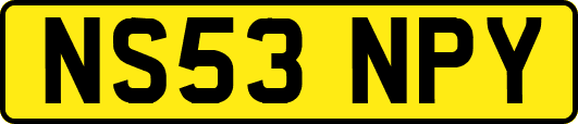 NS53NPY