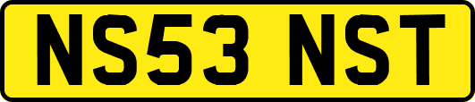 NS53NST