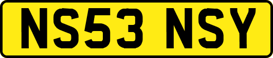 NS53NSY