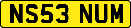 NS53NUM