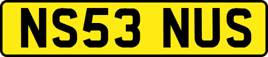 NS53NUS