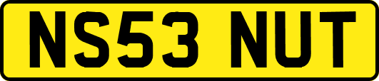 NS53NUT