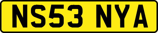 NS53NYA
