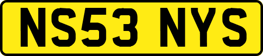 NS53NYS