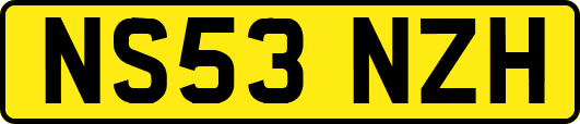 NS53NZH