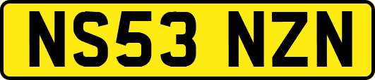 NS53NZN
