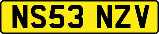 NS53NZV