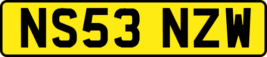 NS53NZW