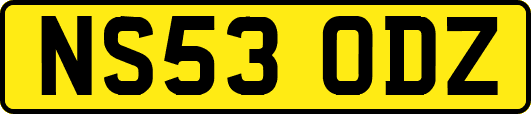 NS53ODZ