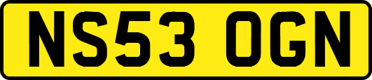NS53OGN