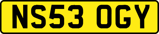 NS53OGY
