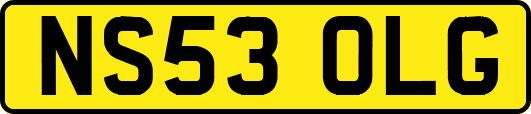 NS53OLG