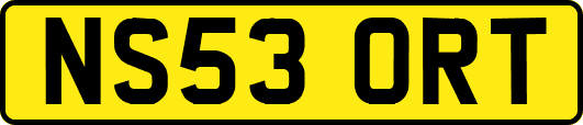 NS53ORT