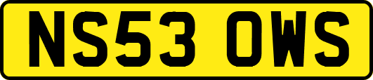 NS53OWS