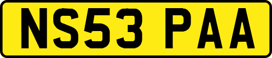NS53PAA