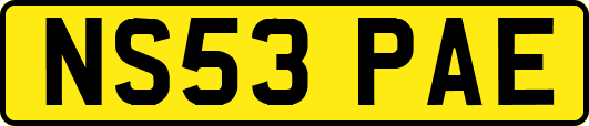 NS53PAE