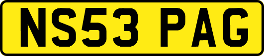 NS53PAG
