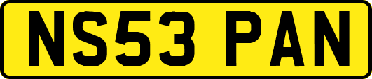 NS53PAN