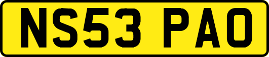 NS53PAO