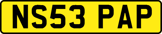NS53PAP