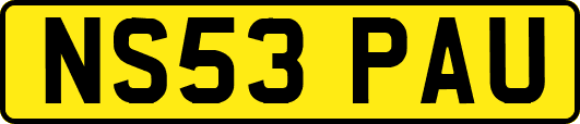 NS53PAU