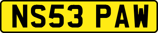 NS53PAW