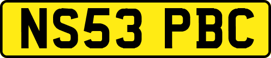 NS53PBC