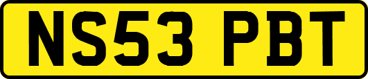 NS53PBT