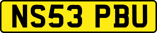 NS53PBU
