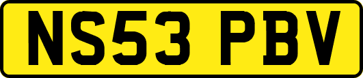 NS53PBV