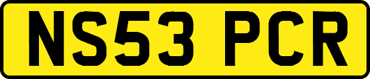 NS53PCR